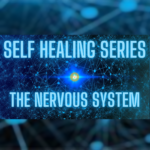 Bitcoin Consciousness Bitcoin Consciousness