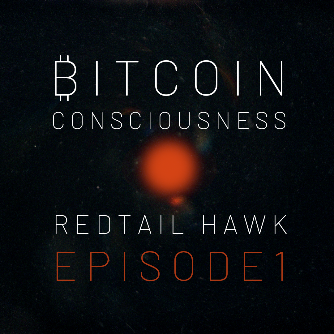 RedTail Hawk Episode 1