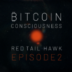 Bitcoin Consciousness