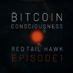 Bitcoin Consciousness